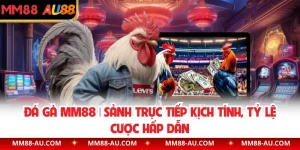 Đá Gà MM88 | Sảnh Trực Tiếp Kịch Tính, Tỷ Lệ Cược Hấp Dẫn